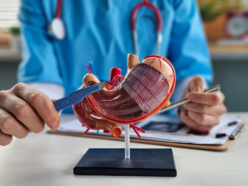 surgeon-held-scalpel-over-anatomical-model
